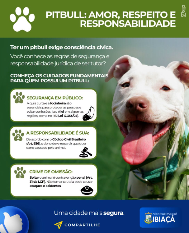 Pitbull: amor, respeito e responsabilidade!